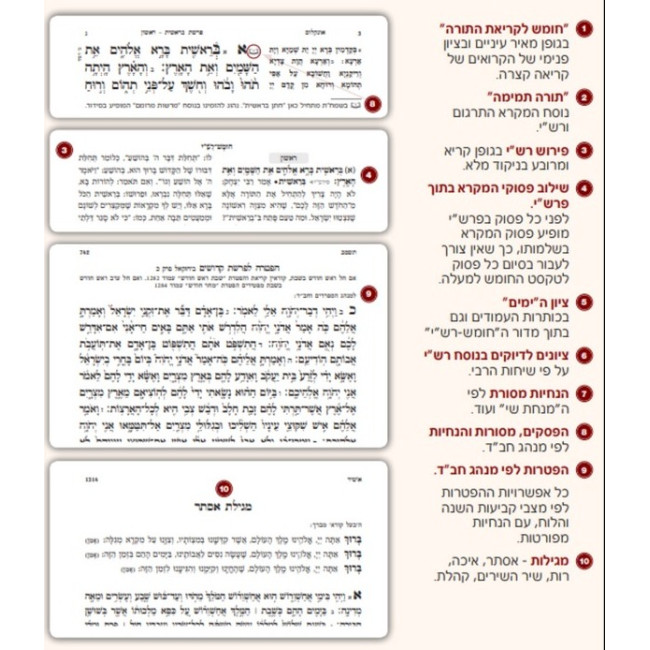 Shul Chumash - Chazak / שול חומש - חזק