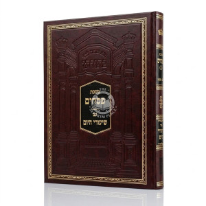 Shiurei HaYom - Pesachim Volume 2 / שיעורי היום - פסחים חלק ב