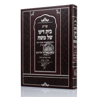 Shut Beis Dino Shel Moshe / שו"ת בית דינו של משה