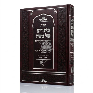 Shut Beis Dino Shel Moshe / שו"ת בית דינו של משה