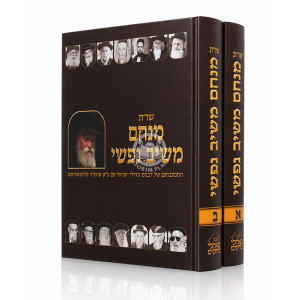Shut Menachem Meishiv Nafshi 2 Volume Set / שו"ת מנחם משיב נפשי ב' כרכים