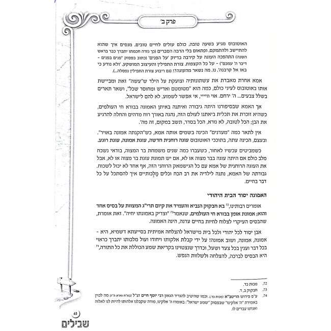 Shevilim Avnei Derech U'Pirkei Hadracha B'Chinuch / שבילים אבני דרך ופרקי הדרכה בחינוך