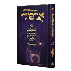 Sidras Gedolei HaChasidus - Anipoli / סדרת גדולי החסידות - אניפולי