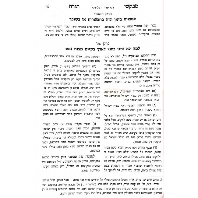 Mevakshei Torah - Shalmei Eliezer - Mageifah HaCorona Vehamistaef / מבקשי תורה - שלמי אליעזר - מגיפה הקורונה והמסתעף ב"כ