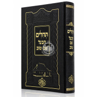 Tehilim HaBa'al Shem Tov / תהלים הבעל שם טוב