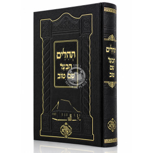 Tehilim HaBa'al Shem Tov / תהלים הבעל שם טוב