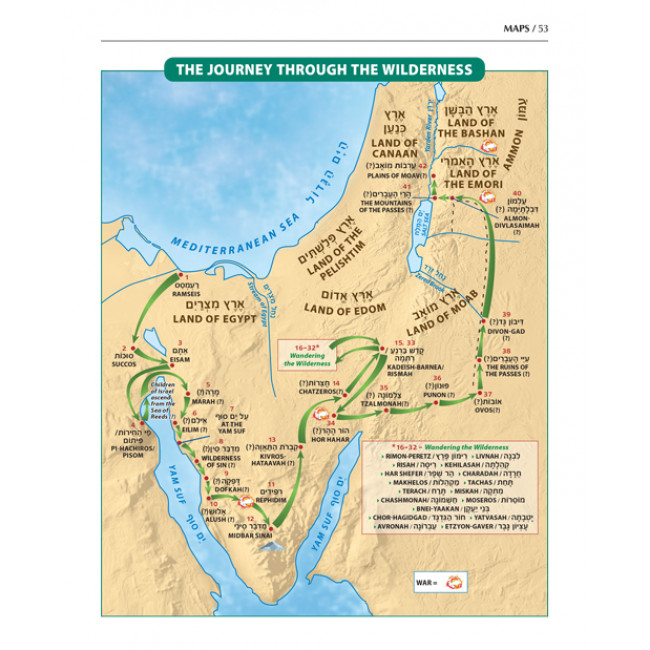 The Book of Torah Timelines, Charts and Maps (English Edition Hard Cover)