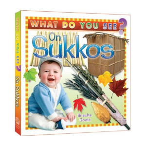 What Do You See on Sukkos?