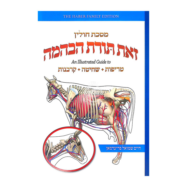 Zos Toras HaBeheimah - Mesechta Chulin / זאת תורת הבהמה - מסכת חולין